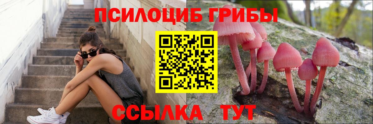 Галлюциногенные грибы Psilocybe  Вход с VPN  Псилоцибиновые грибы Psilocybe  Липецк 